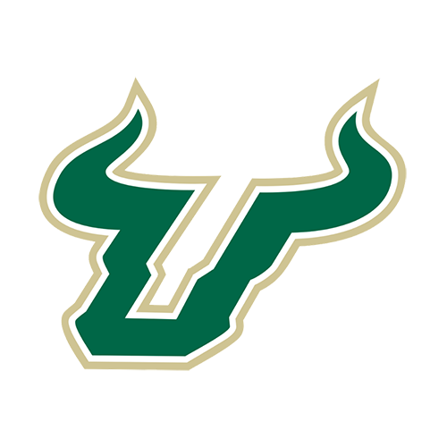 University of South Florida